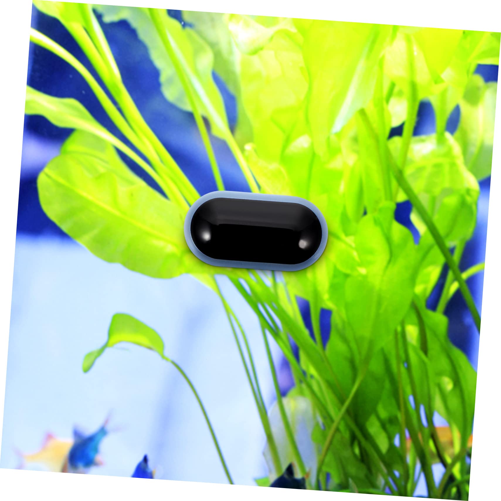 BESPORTBLE 4stücke Wassertankthermometer Mit -anzeige Für Aquarien Hochpräziser Temperaturmesser Für Fischbecken Und Terrarien Wiederverwendbar Installieren Und Abzulesen Temperaturgenau