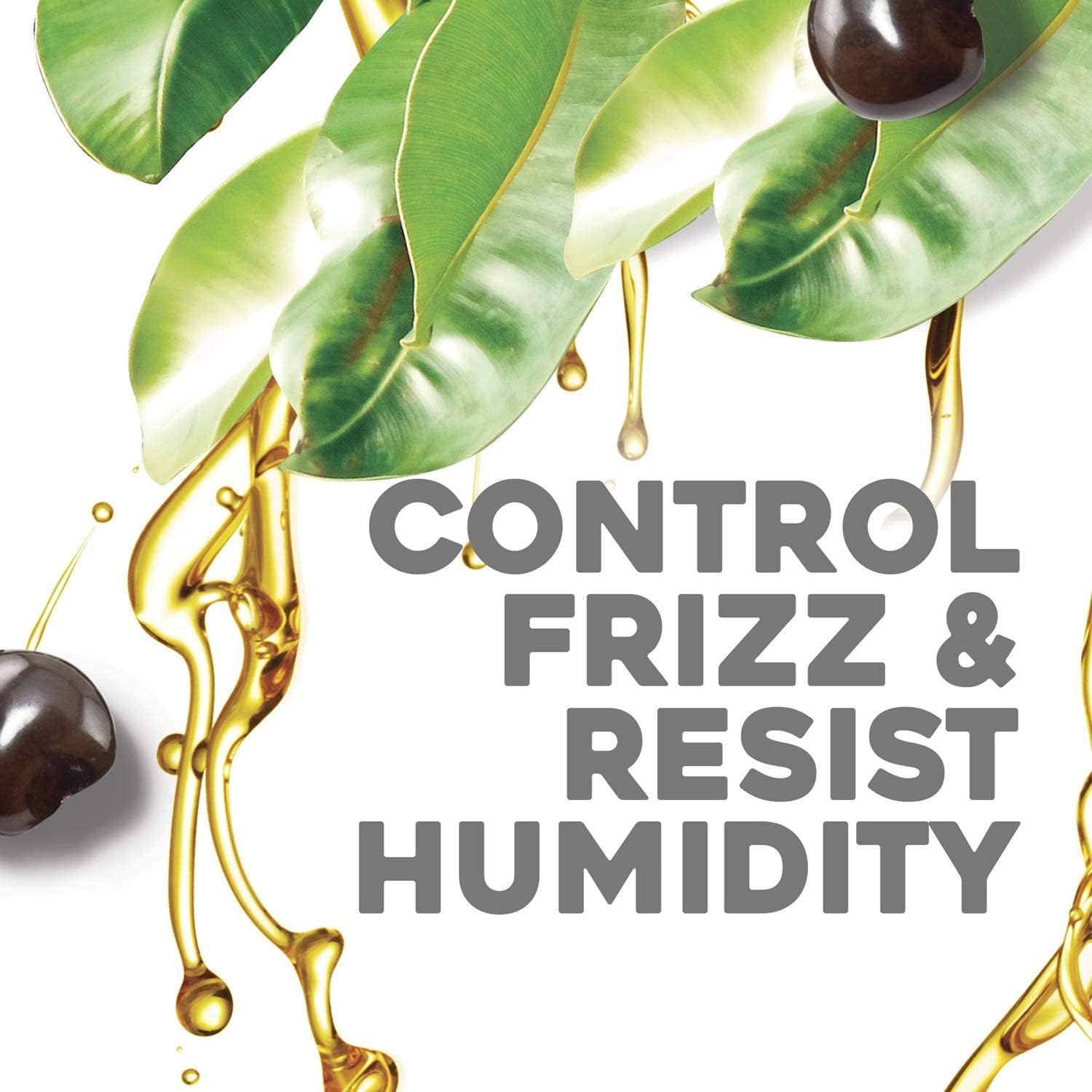OGX Kukui Oil Conditioner for Frizzy Hair, 385ml (Pack of 2) - Image 2