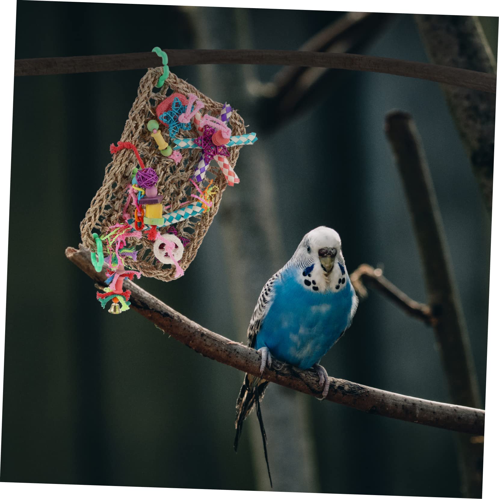 minkissy Lot De 2 Jouets À Mâcher pour Oiseaux Filet Descalade pour Oiseaux Jouets pour Cage À Perroquets Matériau en Paille Sûr Jouet De Divertissement pour Perroquets