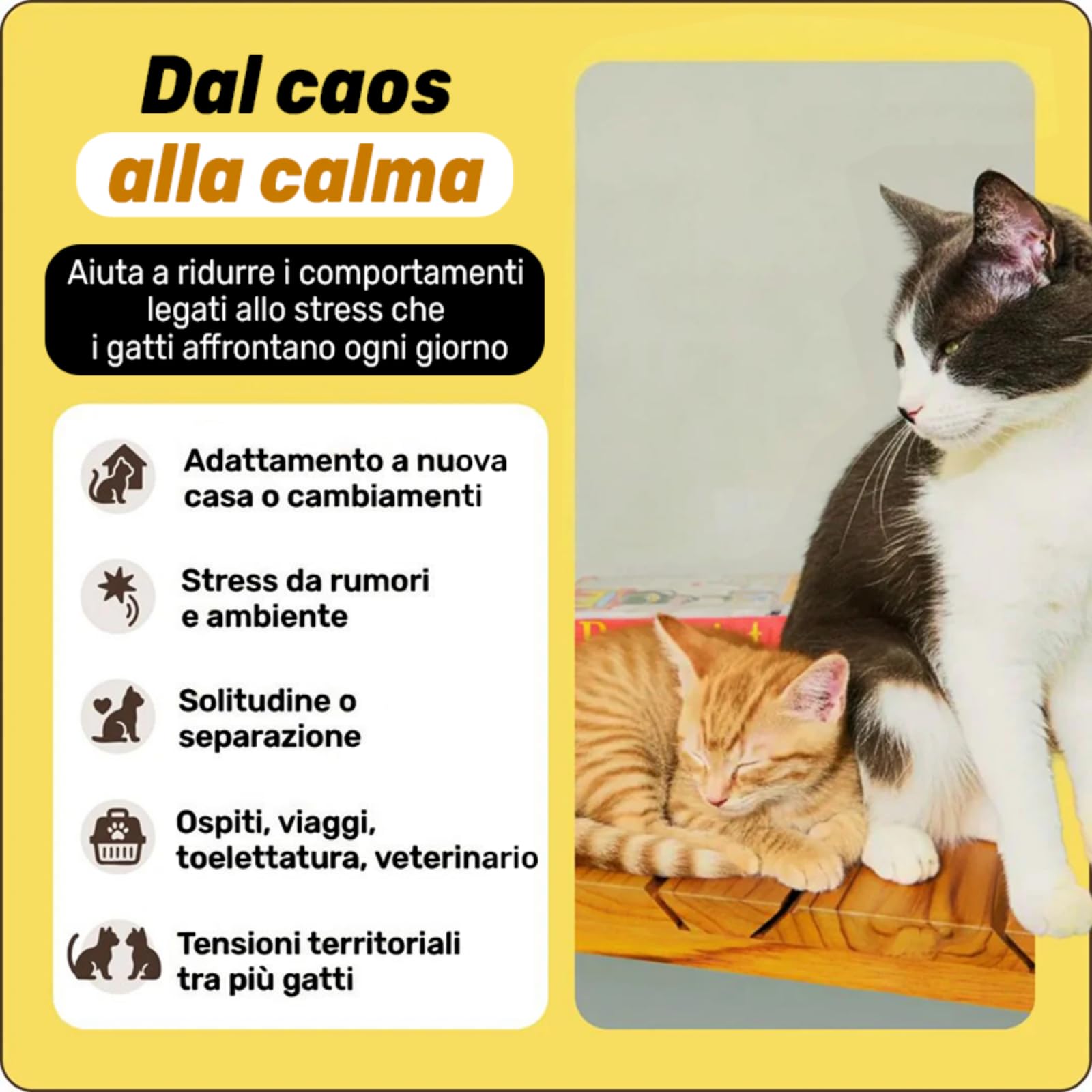 MEIION Argopet Feromoni Materni,Diffusore di Feromoni per Gatti,Calmante per Gatti,Allevia Lo Stress e L'ansia,Riduce Comportamenti Indesiderati,Sicuro e Naturale