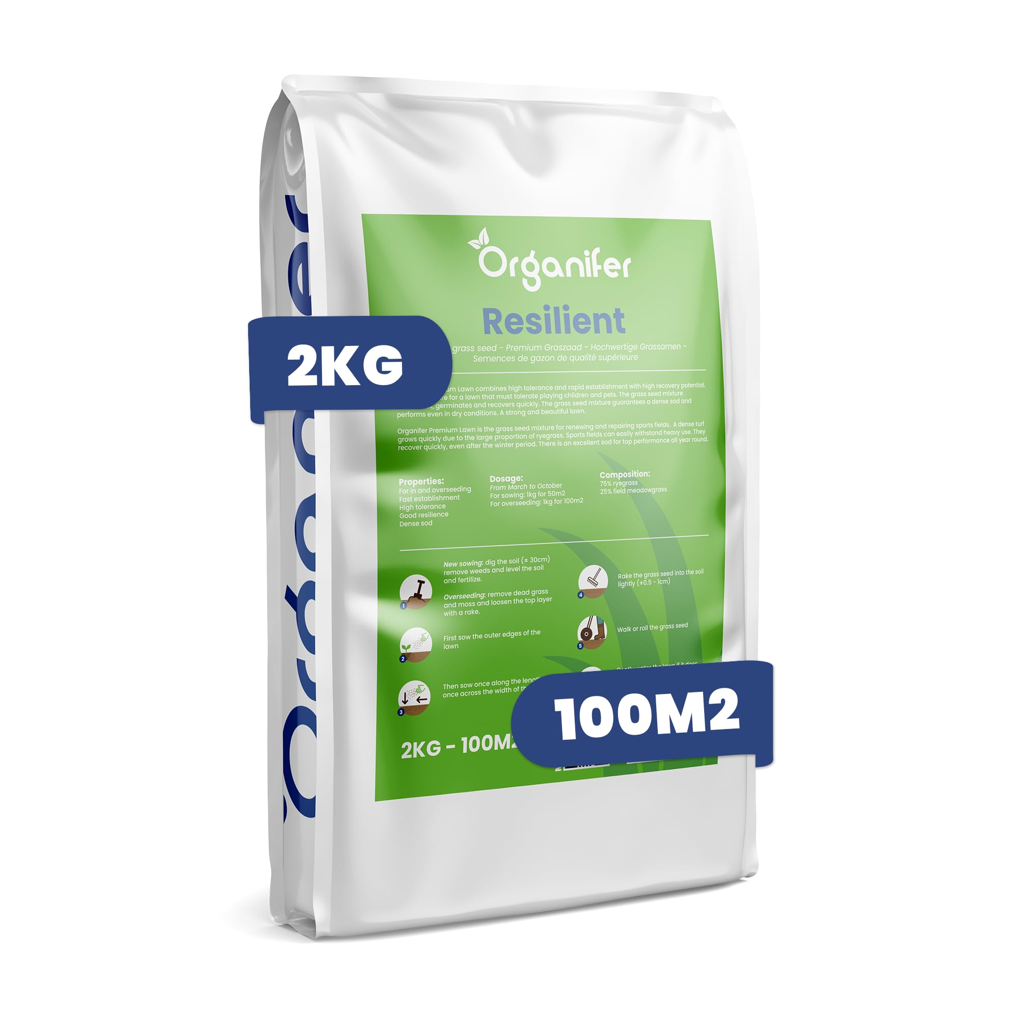 Raygrass para reparación de césped Organifer semillas de alta resiliencia y restauración