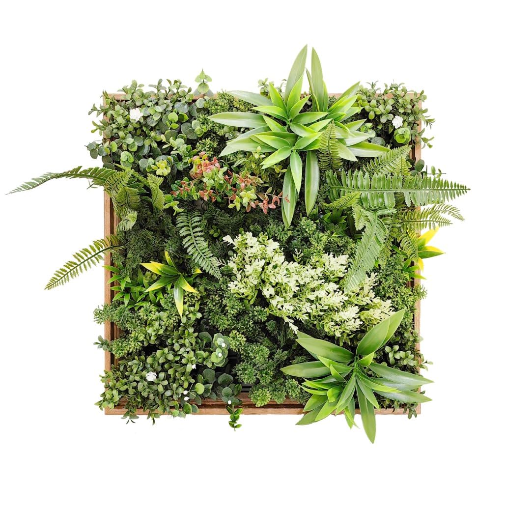 BONERVA Jardín Vertical Artificial Taormina con Marco de Madera Natural 50x50 cm Cuadro Vegetal Decorativo para Interior Estilo nórdico y contemporáneo sin Mantenimiento en oficinas y hoteles