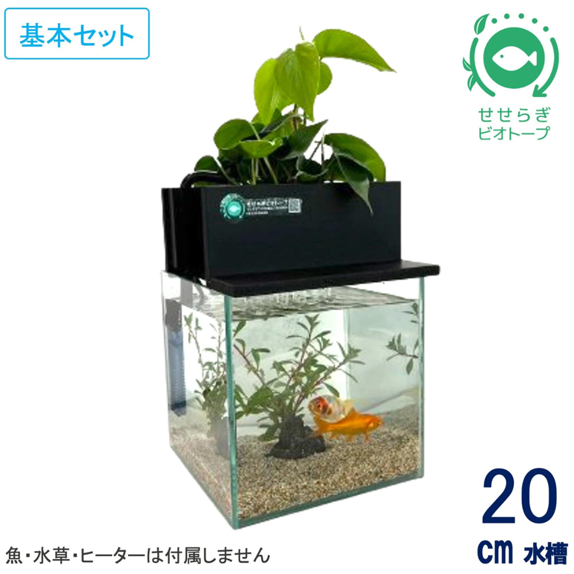 せせらぎビオトープ　水槽セット　ブラック Amazon | せせらぎビオトープ 水替え不要【水槽セット】 20cm型 【色