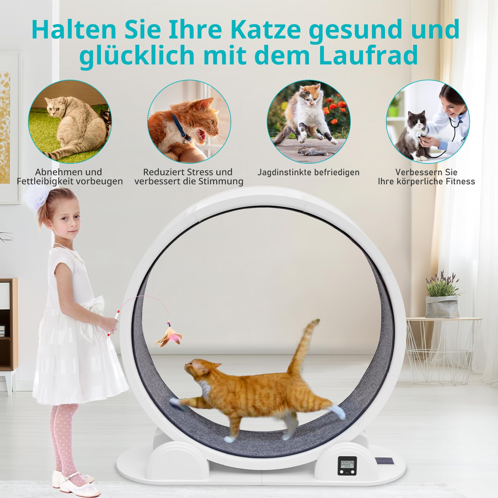 Katzenlaufrad aus ABS bis 25 kg, leise mit Solar-Laufstreckenzähler | Schraubenlose Klick-Montage, abnehmbare Plüsch-Lauffläche, 97 cm Innendurchmesser für große Katzen