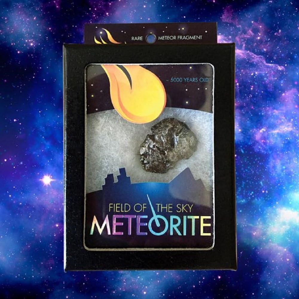 Field of the Sky Meteorite Fragment from Campo del Cielo Site