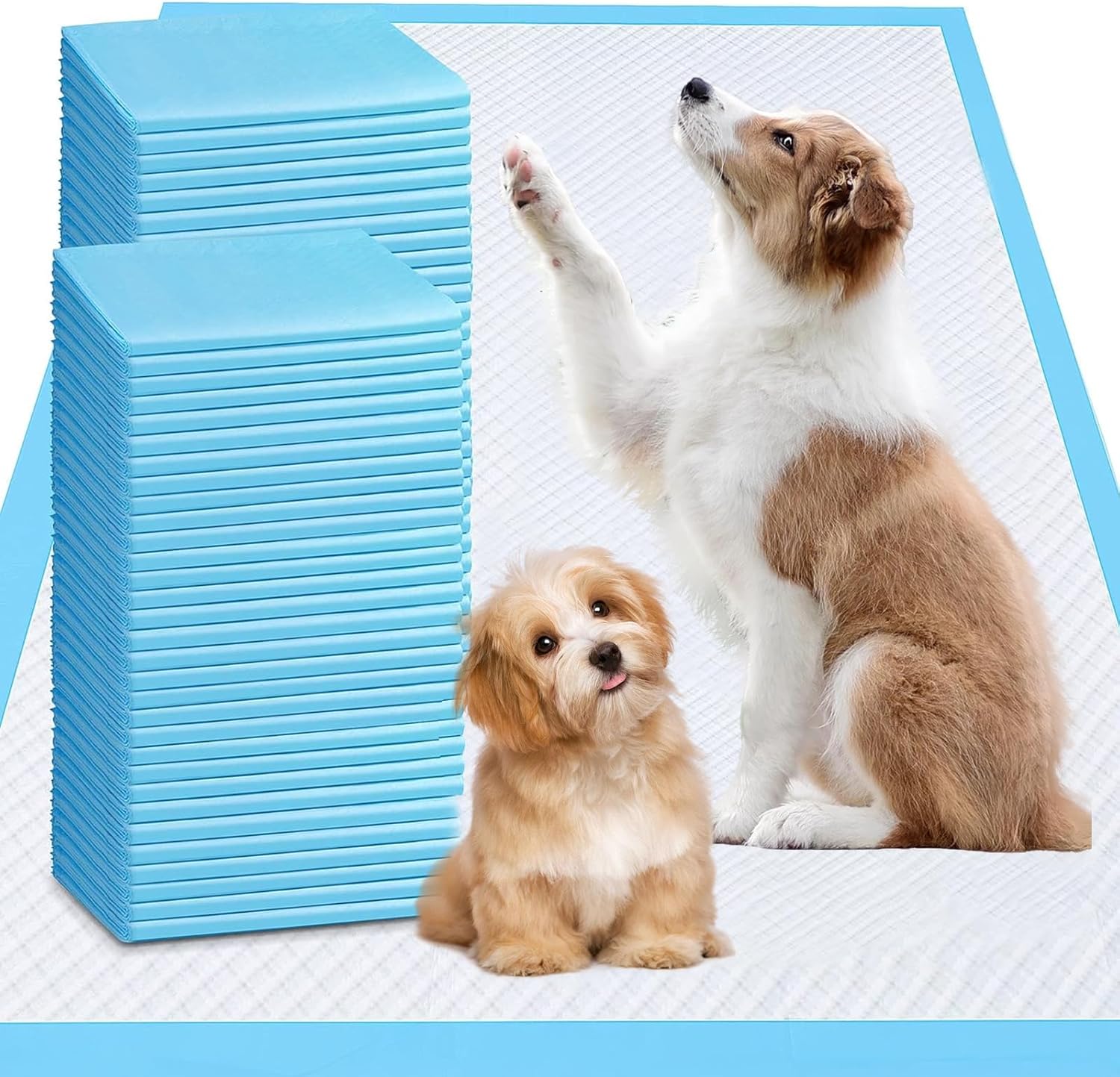 XXXL Puppy Pee Pads for Dogs 31″x47″ 40 Count, Pee Pads Extra Large, Leak-Proof & Super Absorbent Dog Pee Pads, Thicken Disposable Potty Pads Puppy Training Pads for Cats Rabbits