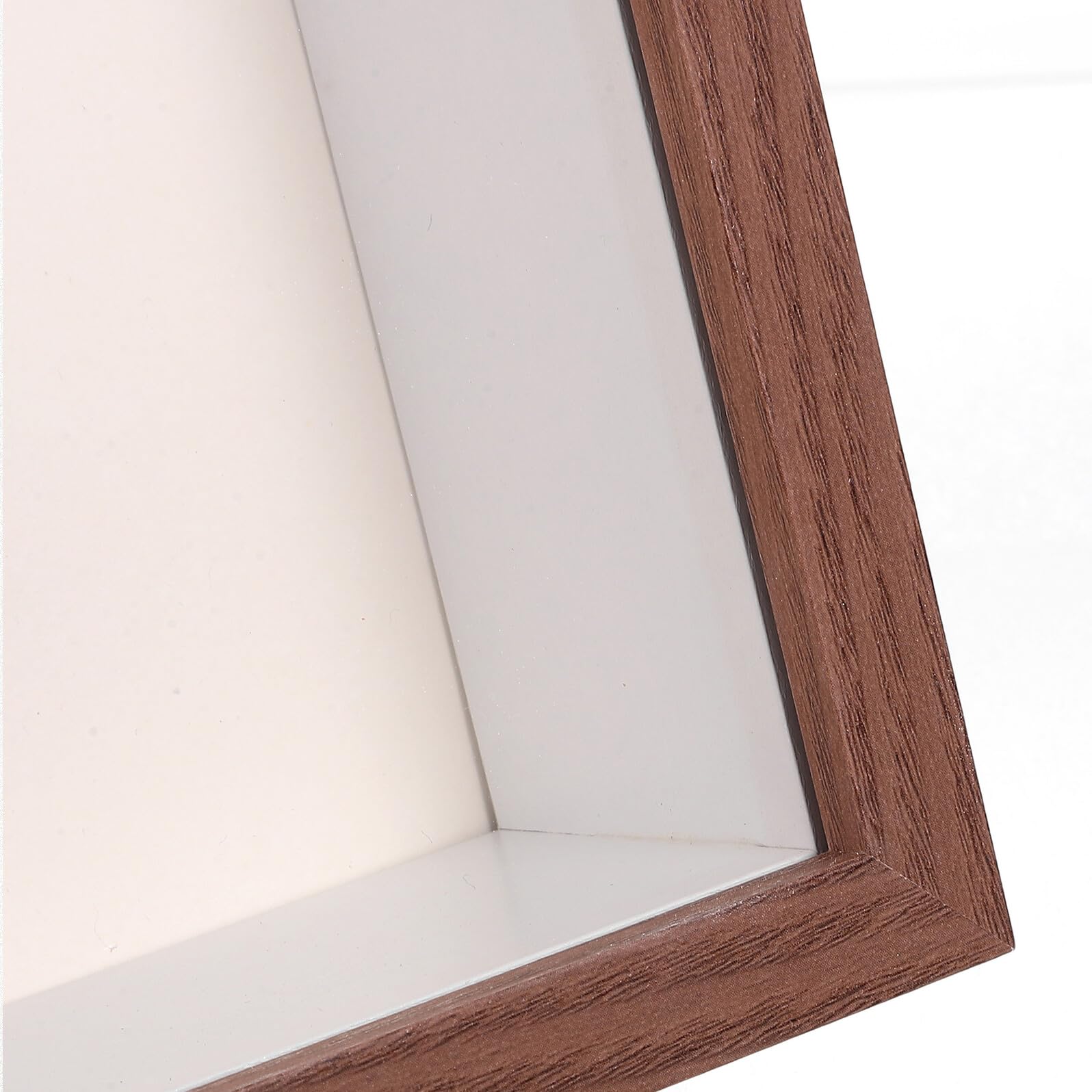 Cornice in Legno A4 per Fiori Secchi Finestra Trasparente Espositore da Tavolo per Decorazione Casa e Portafoto per Esemplari di Farfalle Decorazione Scrivania Fai da Te