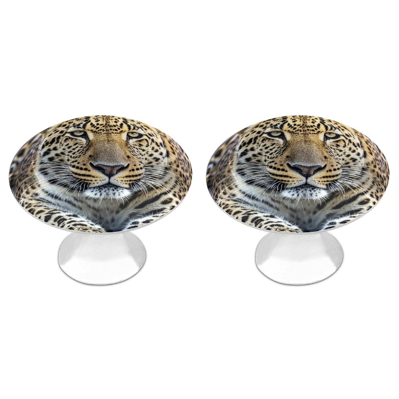 FekiLoot African Animal Leopard Cabinet Knob 2 Pack Mini Round Drawer Pulls Stainless Steel Dresser Drawer Knobs Kitchen Drawer Hardware for Bathroom Dresser Closet Door Knobs