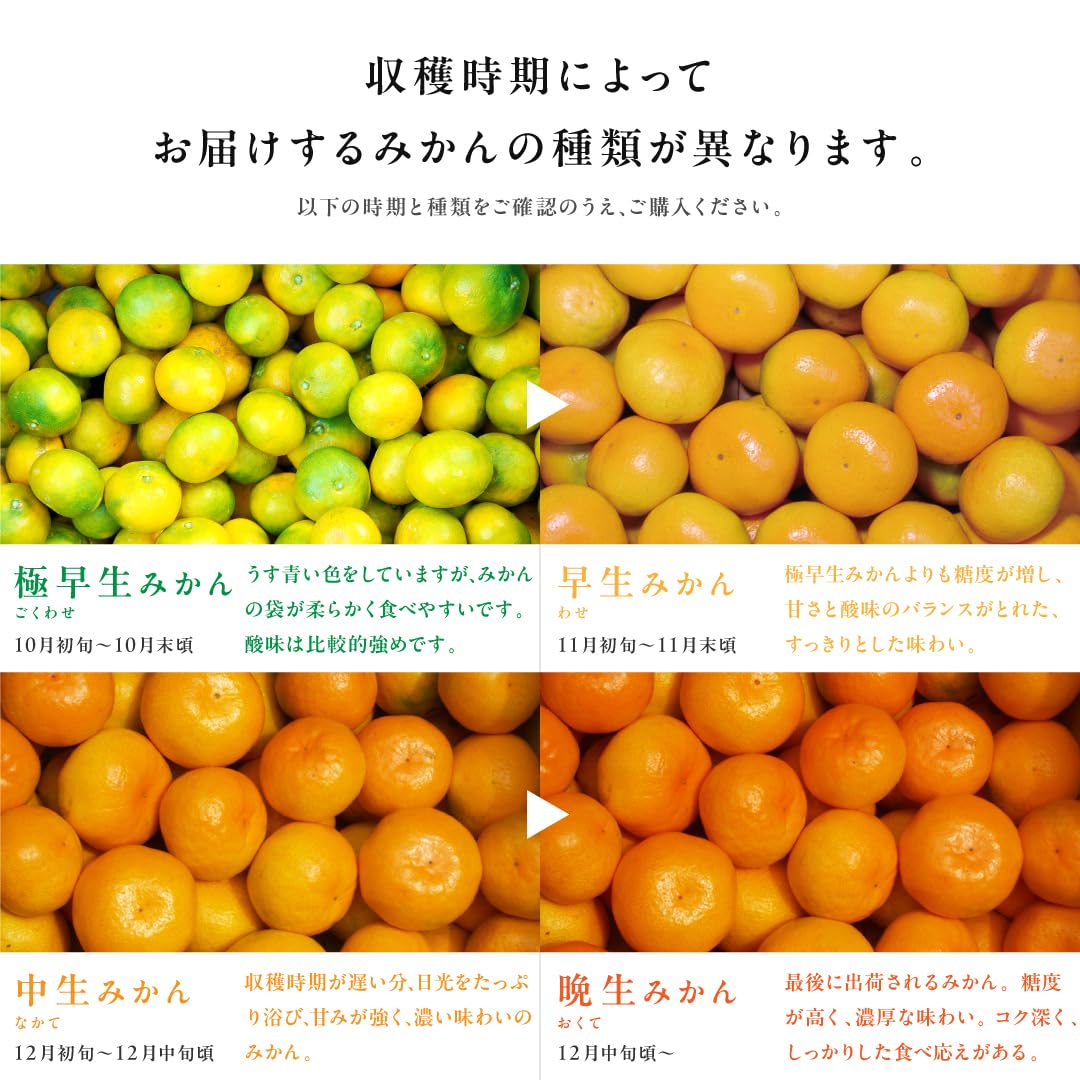 Amazon.co.jp: みかん 訳あり 5kg 小粒 S 2S 3S サイズ混合 和歌山県産