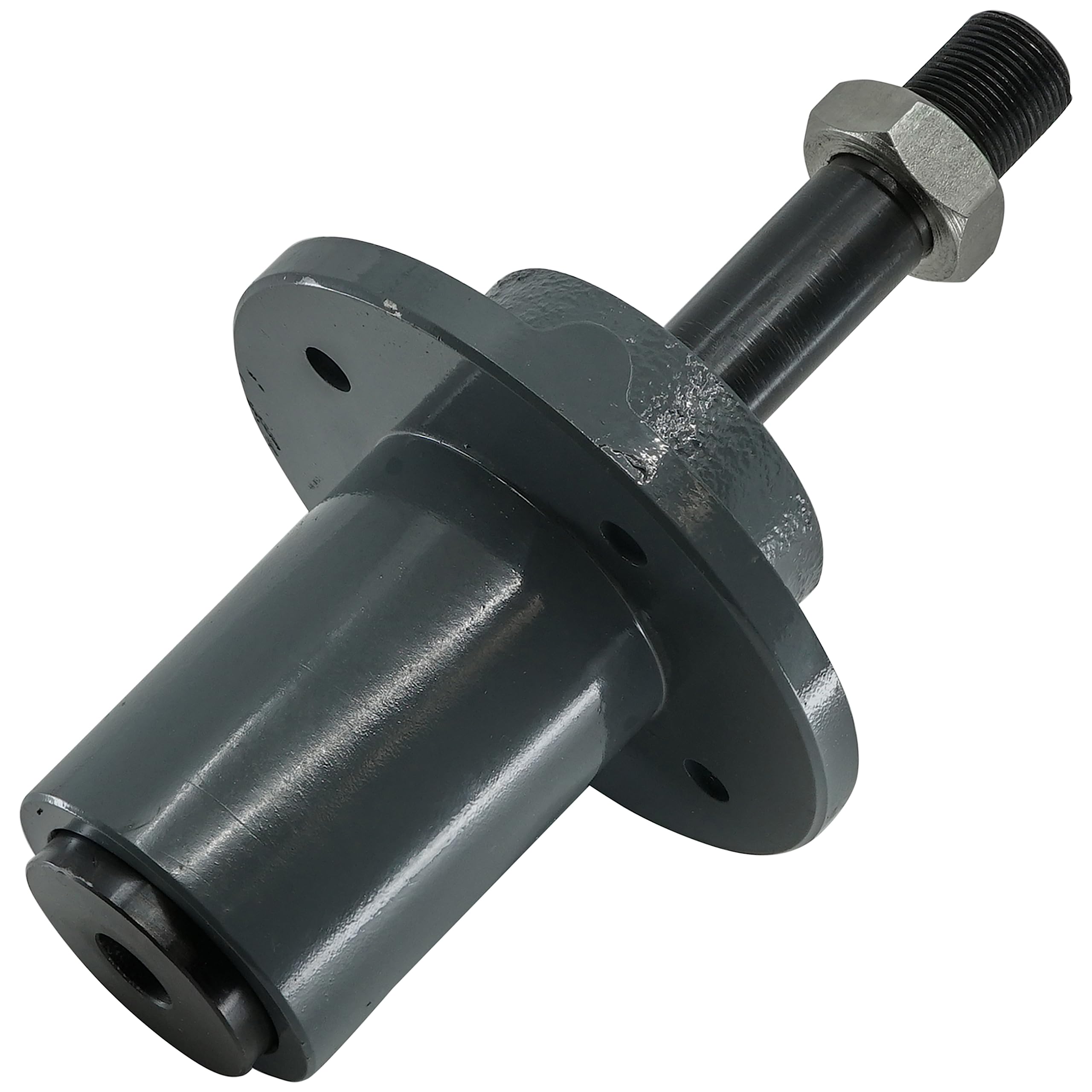 Amazon.com : Caltric 300442 302586 10161L Spindle Compatible with