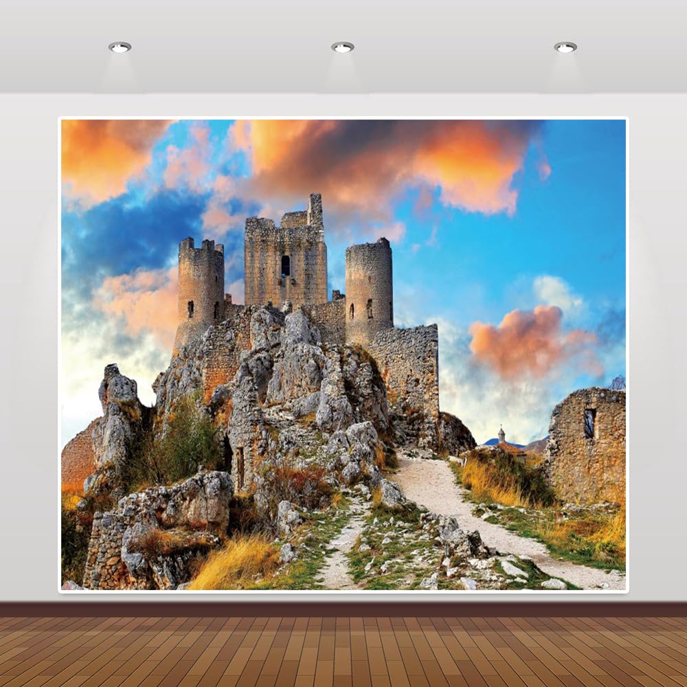 Medieval Castle Backdrops for Photoshoot 16.5x10ft Vinyl Vintage Stone Castle Photography Backdrop Tower Ancient City Fortress Background Birthday Party Wedding Backdrop Decorations Photo Booth Props