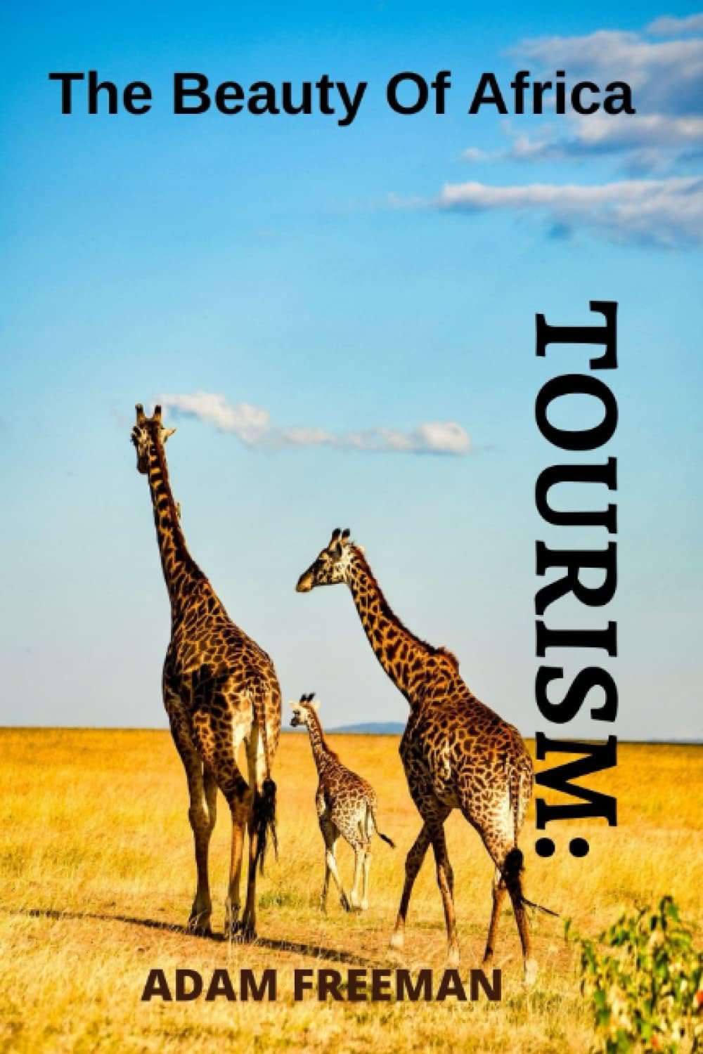 Tourism: The Beauty of Africa the Best Places to Spend Quality Time in Africa
