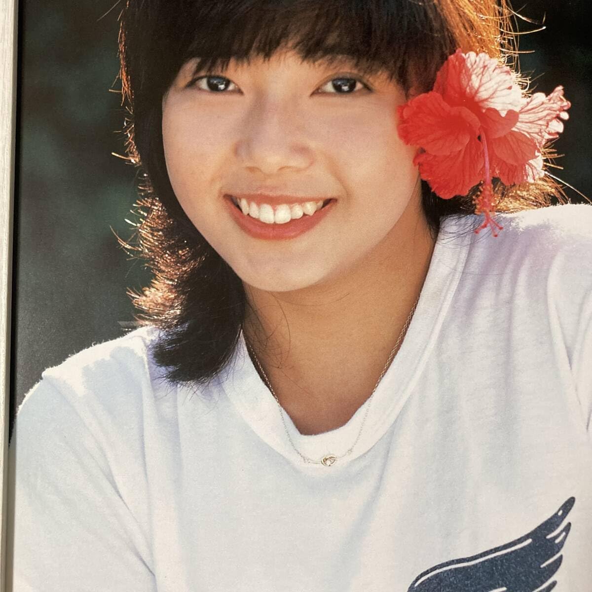 Amazon.co.jp: 額装品 相本久美子 A4サイズ額入り ポスター風 アート