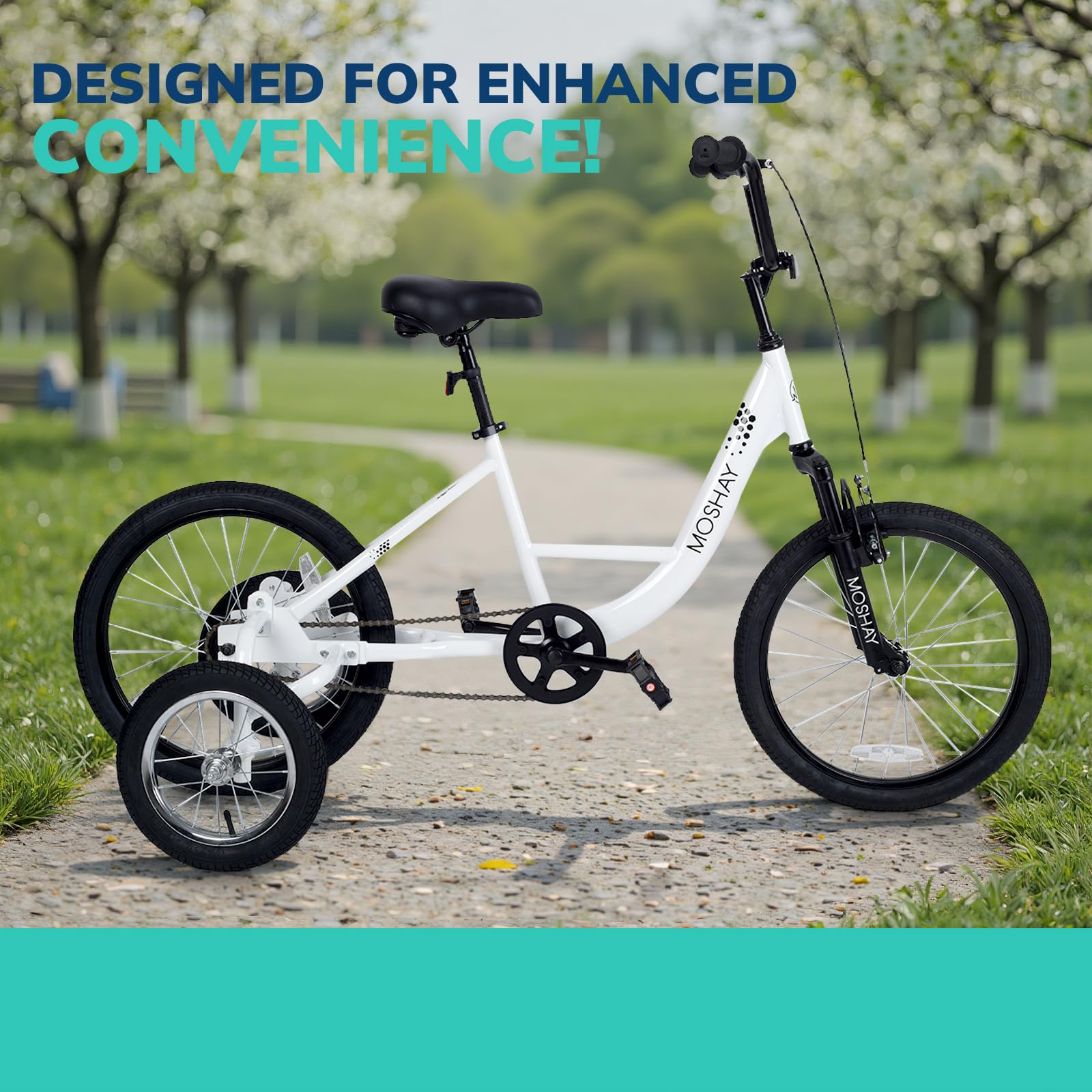 MOSHAY 20" Adaptive Fat Training Wheel Bike
