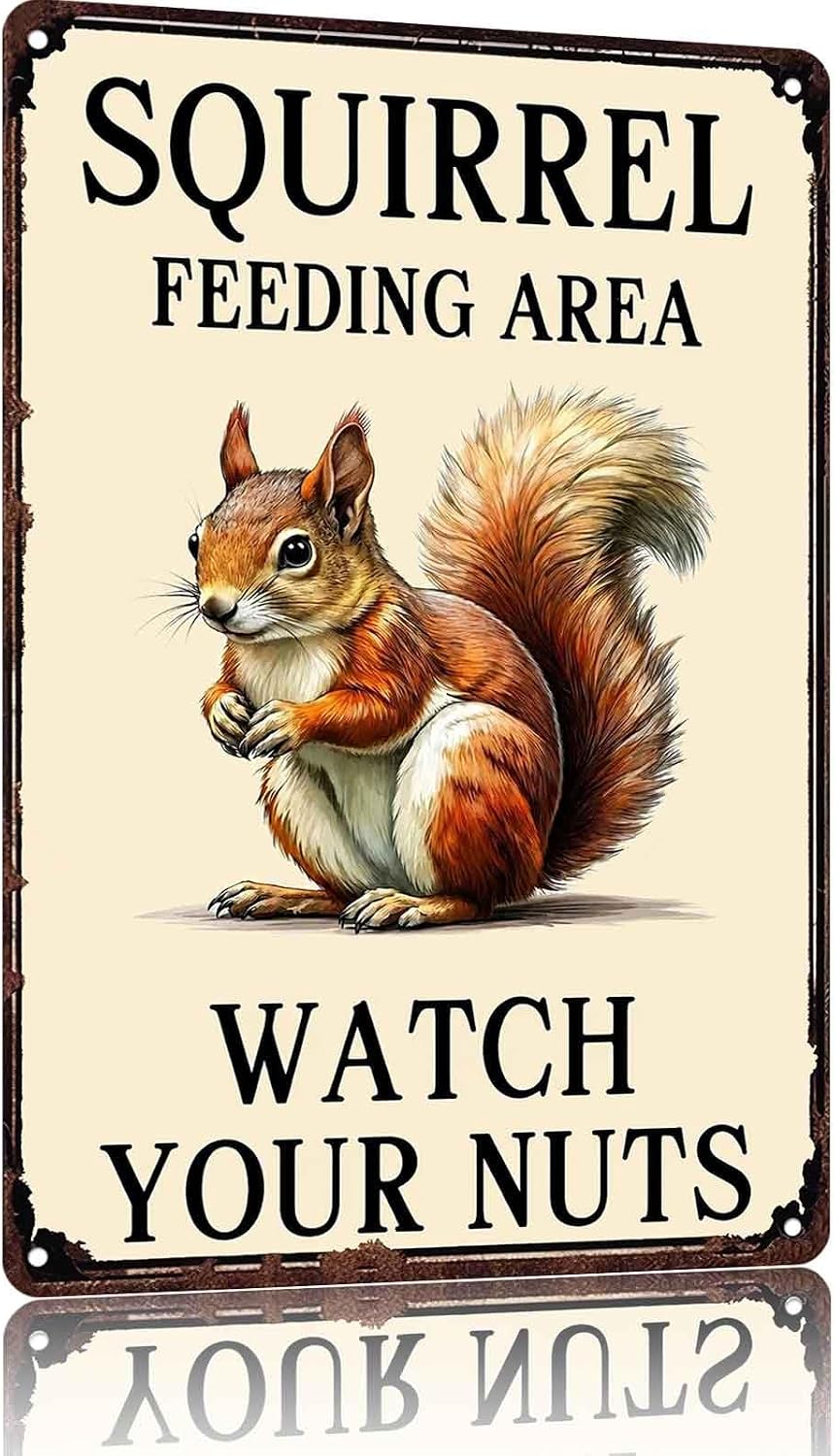 Humorous Squirrel Feeding Area Metal Signs 8x12 Inch, Yard Wall Decor