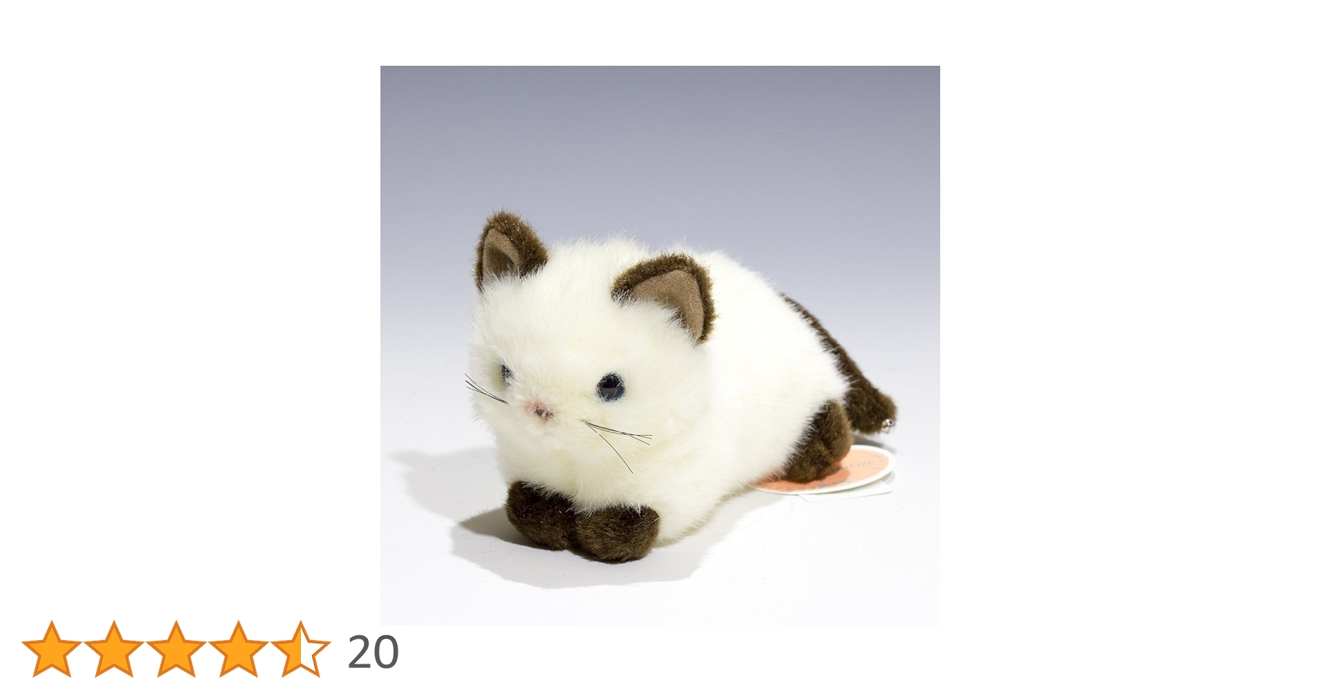 たけのこ 71lc8eKXjfL._AC_UF350,