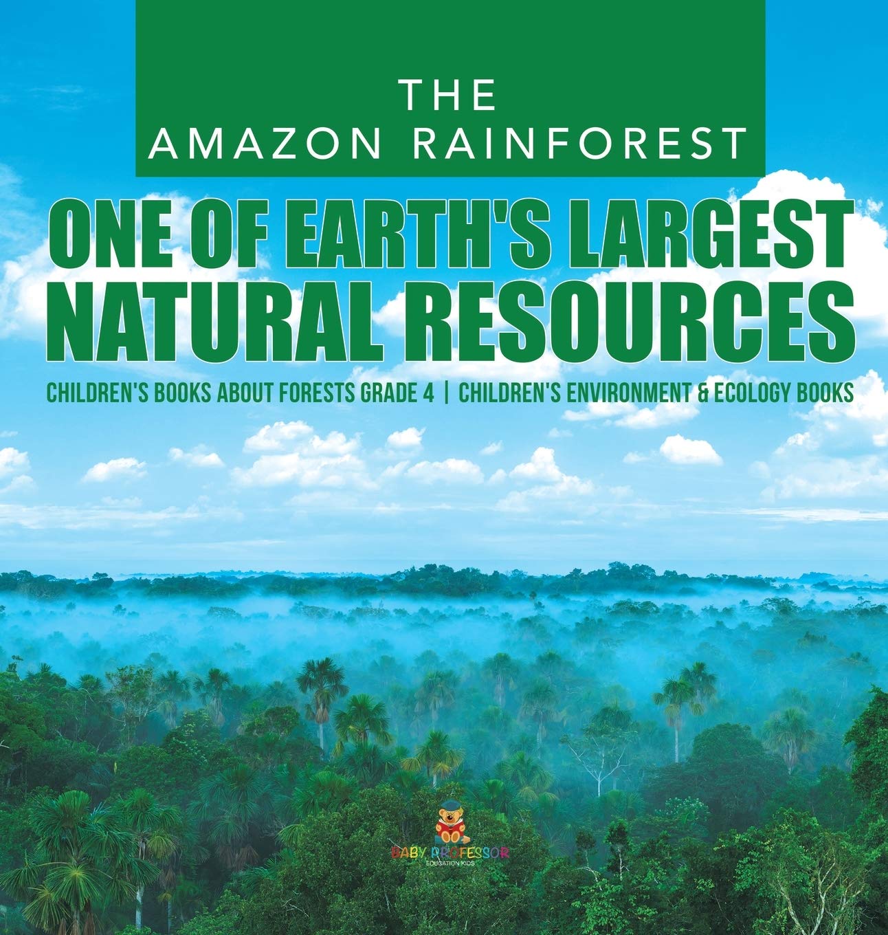Buy The Amazon Rainforest One of Earth's Largest Natural Resources