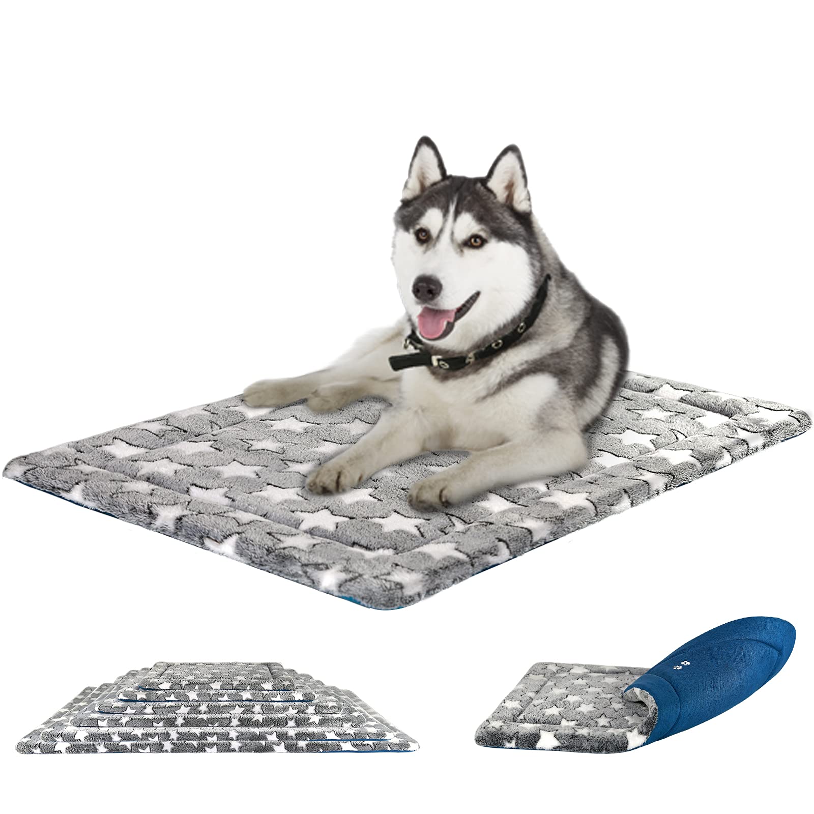 How Can I Keep My Dogs Crate Warm