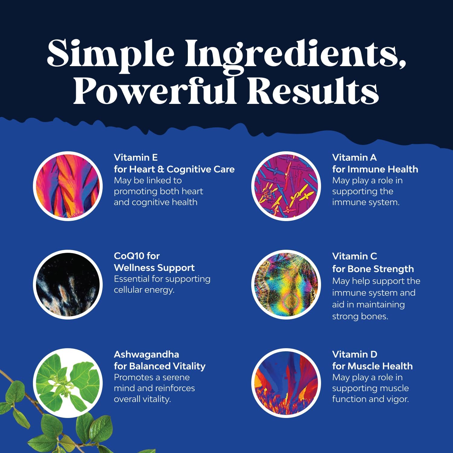 Bundle of Daily Mens Multivitamins Gummies with Zinc and Biotin for Energy and Immunity and Daily Multivitamin for Women Gummies - Gummy Vitamins for Health and Wellness - Non-GMO Gluten Free & Halal