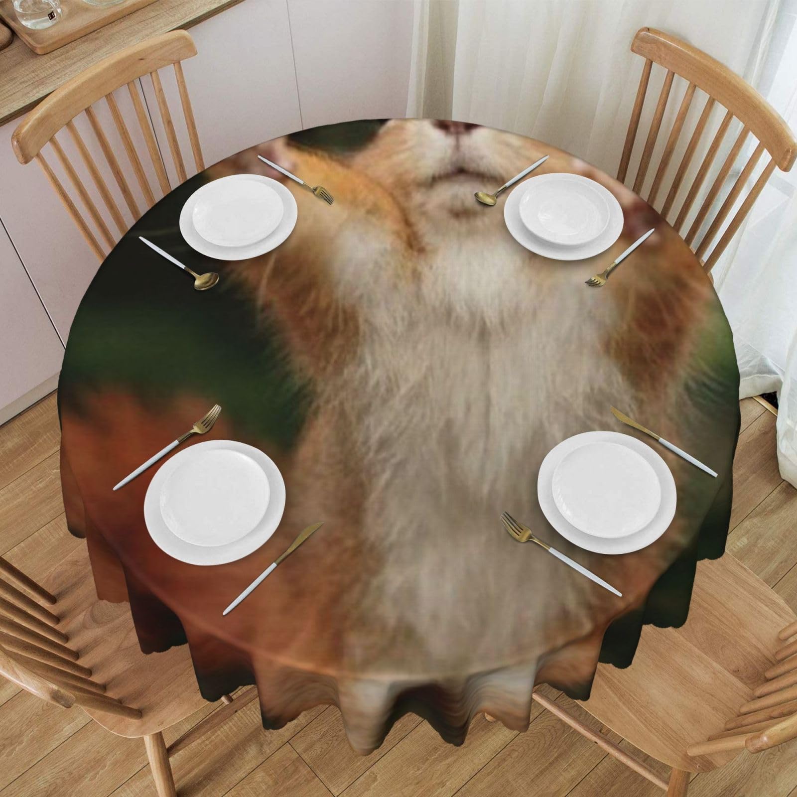 DCEHGEW 60 In Round Tablecloth with Lace, Squirrel Funny Animal-r18325 Printed Oilproof & Washable Fabric Picnic Table Cloth Table Covers