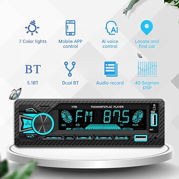 Car Audio Bluetooth Single DIN Car Stereo, 12V Car FM/AM Radio LCD VA Screen Car MP3 Player with Hands-Free, Dual USB, Voice Assistant & App Control, Supports FM/MP3/WMA/FLAC/AUX/TF