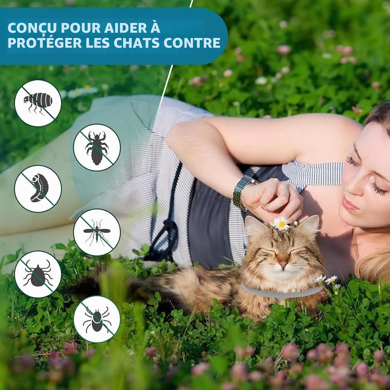 Lot de 2 Colliers pour Chat, Protection de 16 Mois, Prévention des Infections, Huiles Essentielles Naturelles, Collier Ajustable Étanche, Sécurité et Confort pour Chats de Plus de 7 Semaines