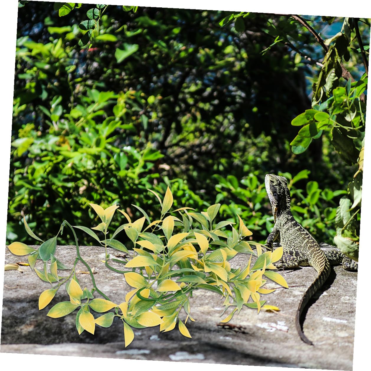 DECHOUS 6 Stück Künstliche Reptilienpflanzen aus Kunststoff Kletterpflanzen für Terrarien Hängende Terrarienpflanzen in Grün Pflegeleichte Dekoration für Leopardgecko Reptilienterrarien