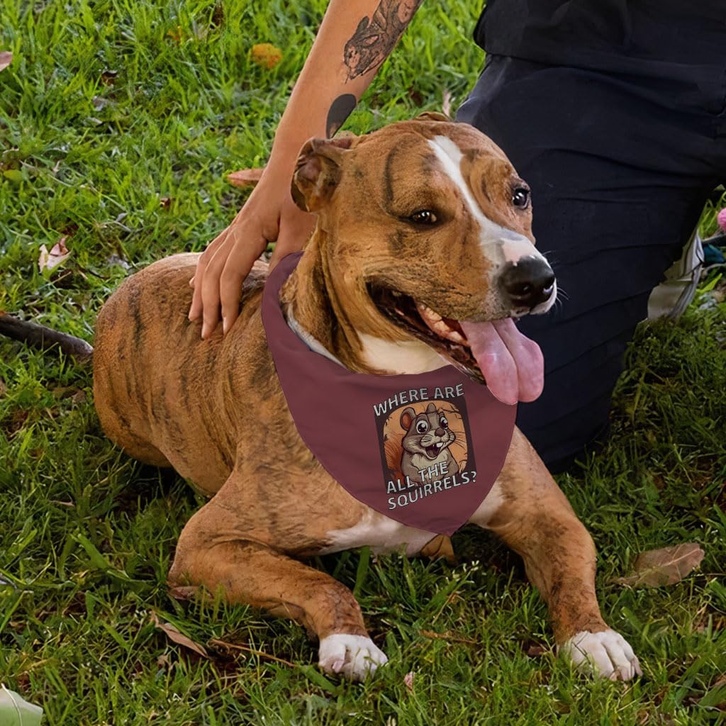 Where are All The Squirrels Pet Bandana - Dog Gifts - Gifts for Squirrel Lovers - L
