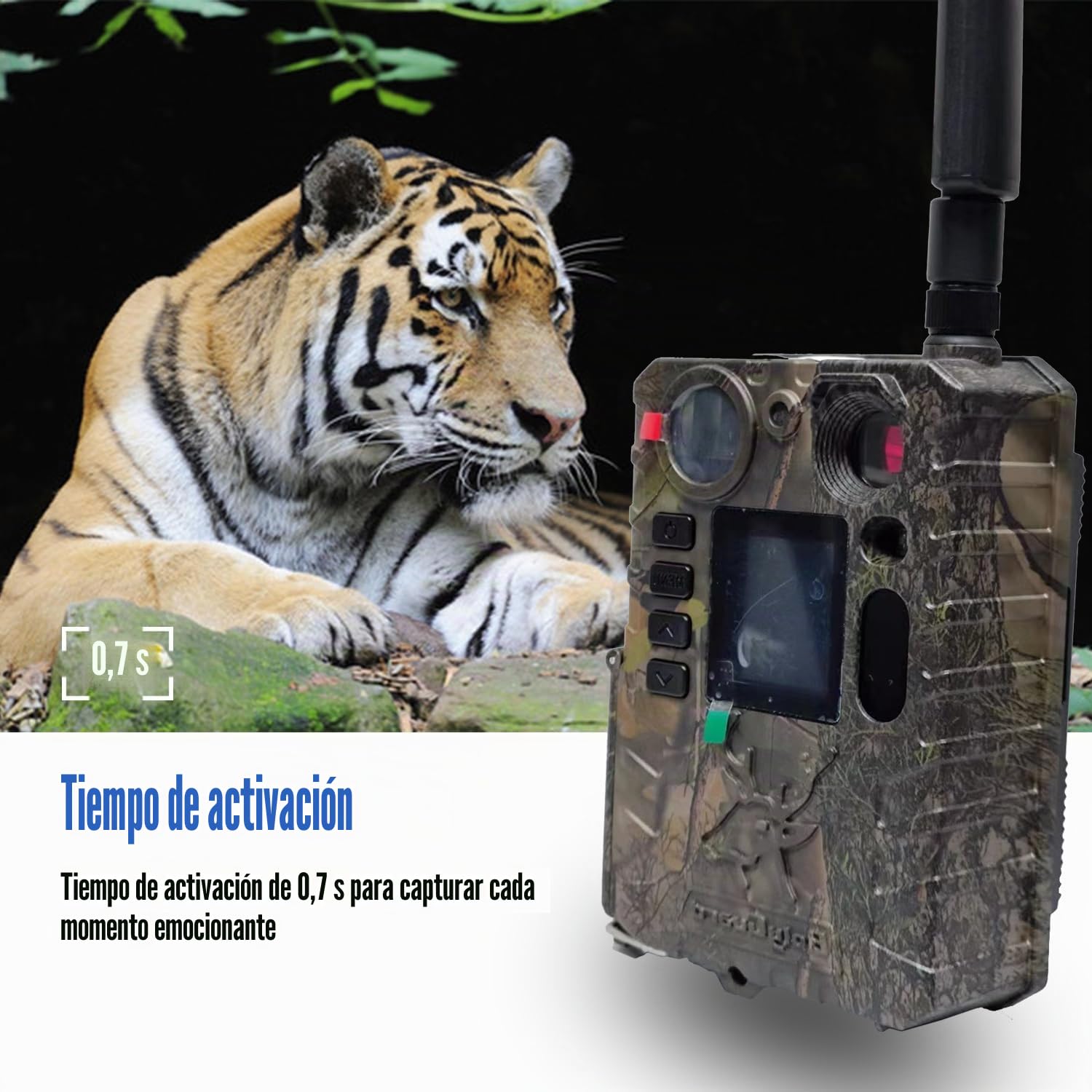 BolyGuard - Cámara de Caza (37 MP, 4K, cámara de Falso con detección de Noche sin Brillo, 940 NM IR LED, intervalo de Tiempo, Temporizador Impermeable IP66
