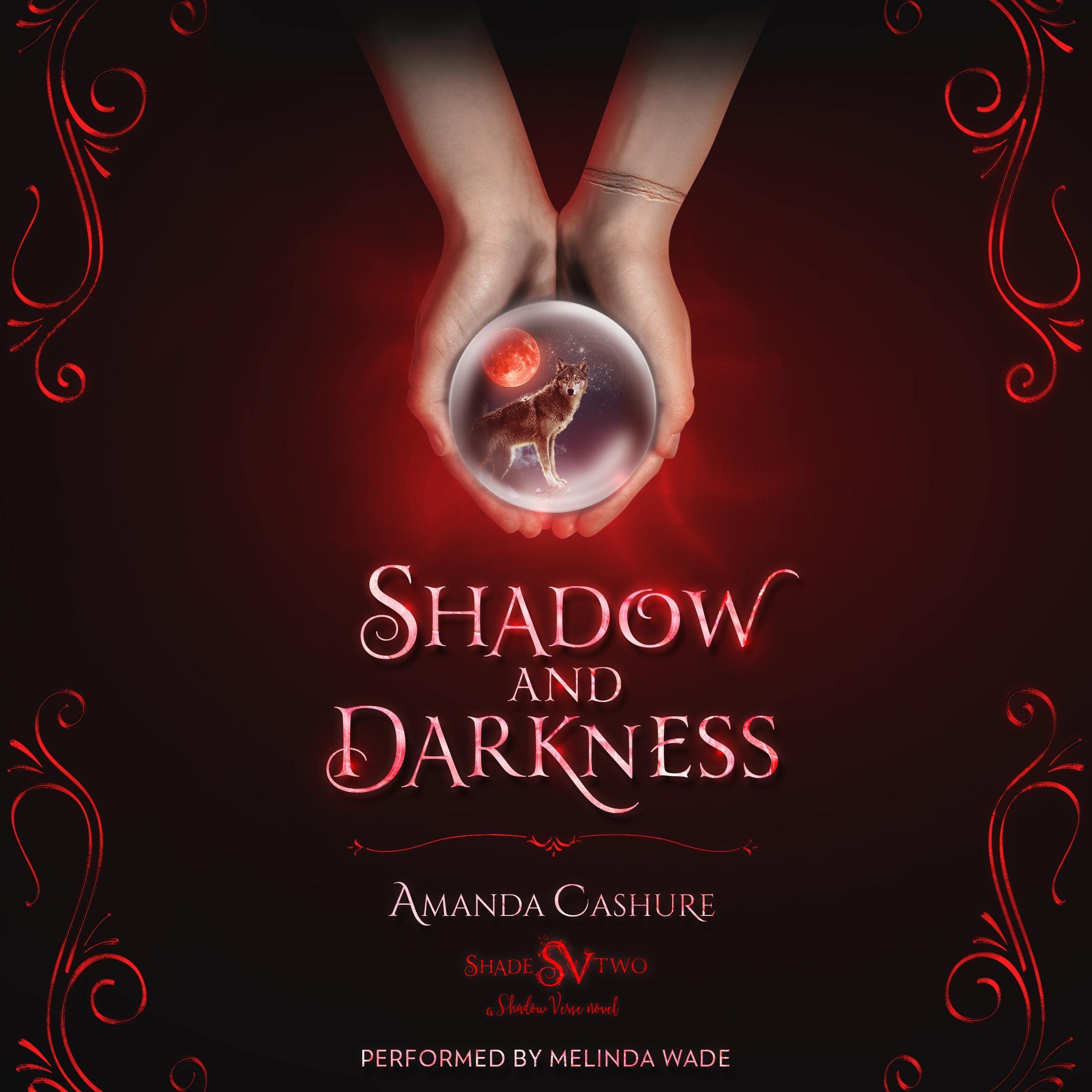Cover art for Shadow and Darkness