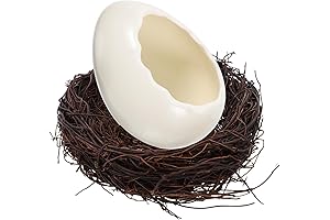 Fruit Nidos: The Revolutionary Eggshell-Inspired Fruit Bowl