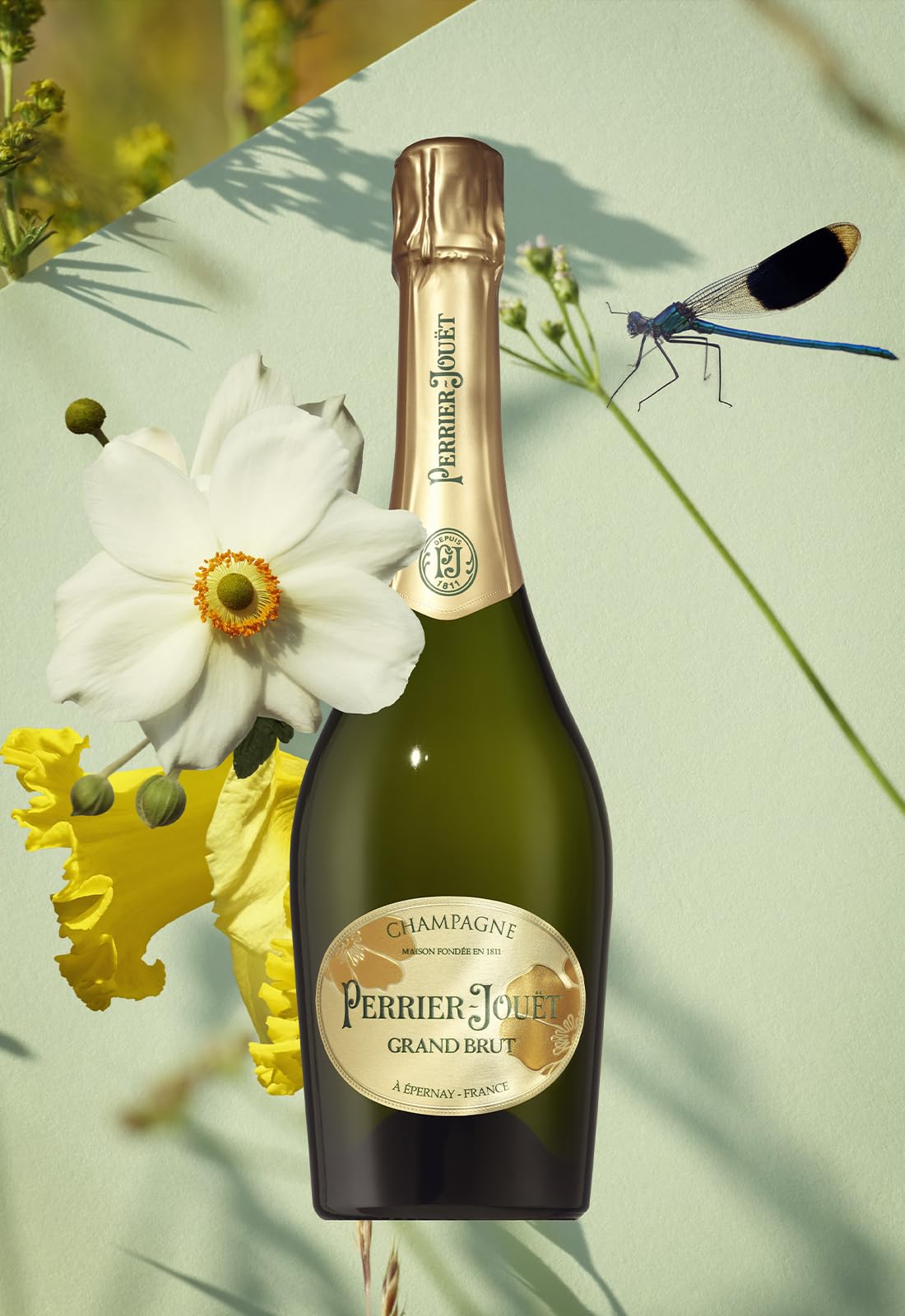 PERRIER JOUET Grand Brut Champagne, 750 ml : Amazon.es