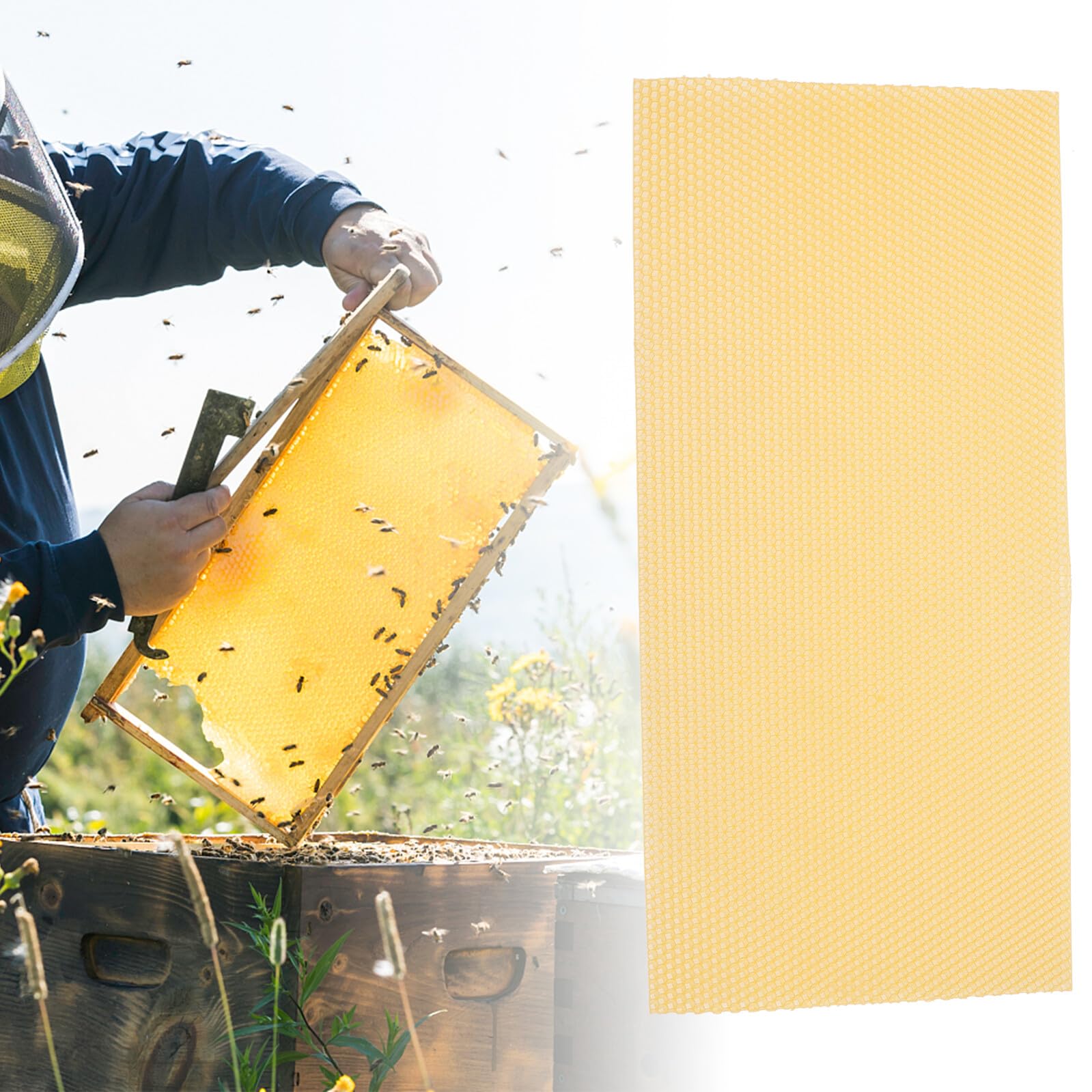 ORFOFE 30 Piezas de Base de Colmena de Cera de Abeja Amarilla Reutilizable para Proyectos DIY y Suministros para Colmenas Alta Producción