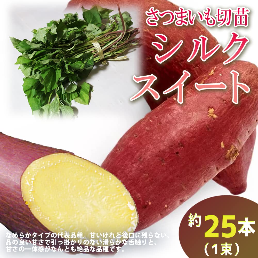 Amazon.co.jp: さつまいも切苗 品種：シルクスイート 約25本【納期：4