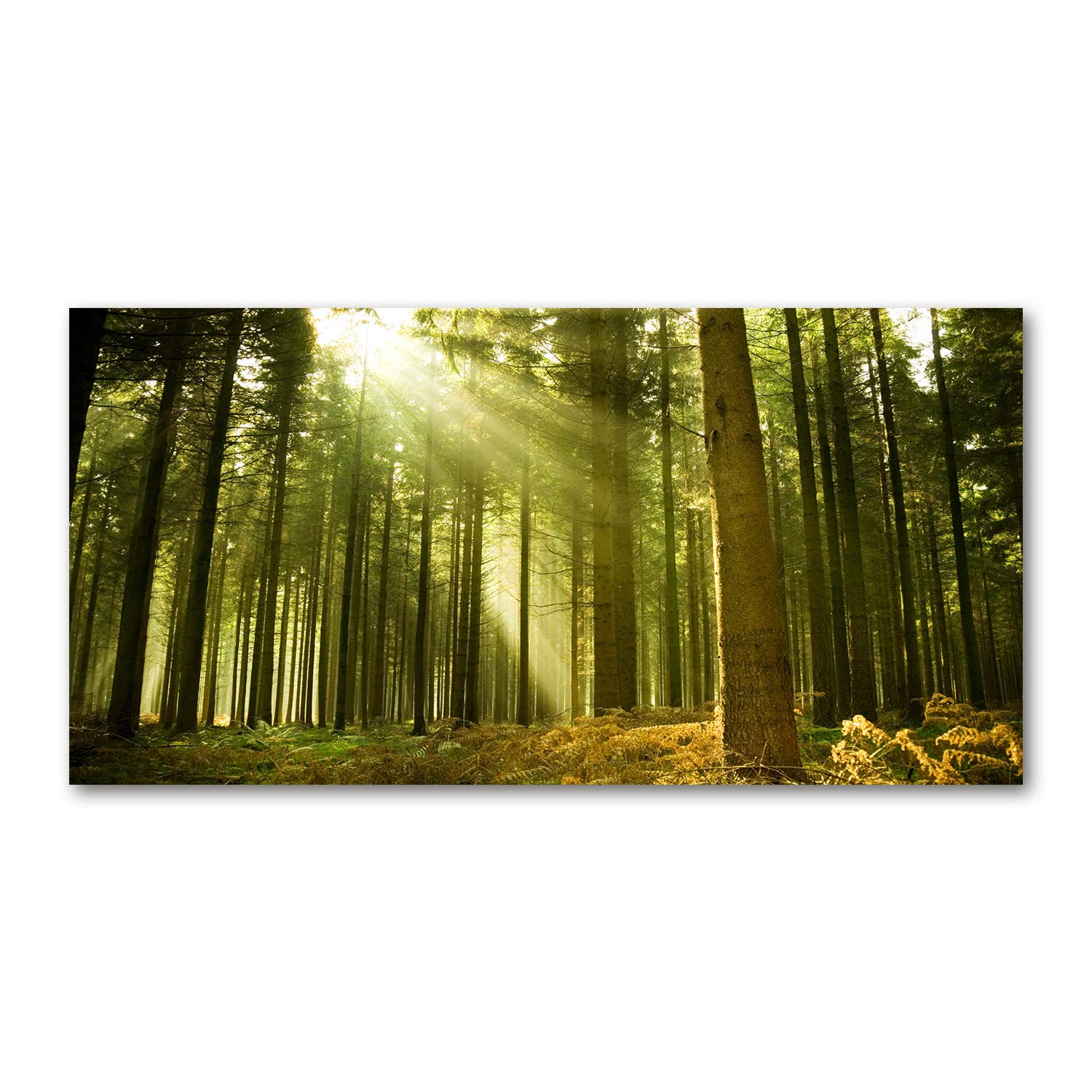 Forêt de pins vert tableau décoratif Tulup 120x60 cm cuisine et salon
