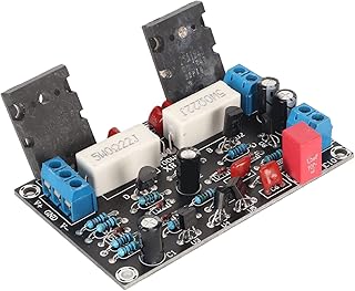 100W Power Amplifier Board, Mono High Power 2SC5200 2SA1943, Quiet Amp Speaker Circuit Protection, Durable and Stable to Use