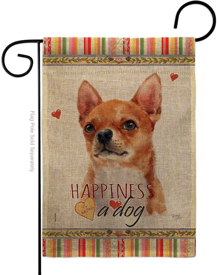 Dog Shorthair Chihuahua Happiness Burlap Garden Flag Animals Puppy Spoiled Paw Canine Fur Pet Nature Farm Animal Creature Small Decorative Gift Yard House Banner Double-Sided Made In USA 13 X 18.5