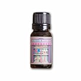 Main Street Confectionery Fragrance Oil Inspired by Disneyworld & Disneyland Fragrances (5ml)