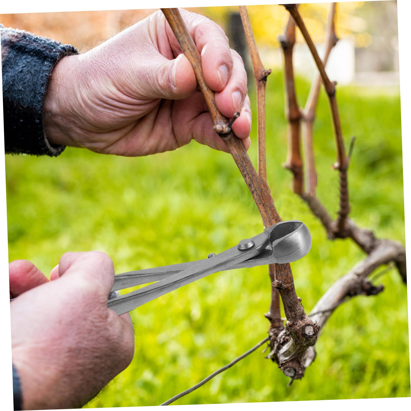 Bonsai Baumwerkzeuge Gartenschere Kohlenstoffstahl Präzise Bypass Gartenschere für Hobbygärtner Bonsai Künstler Vielseitig Einsetzbar