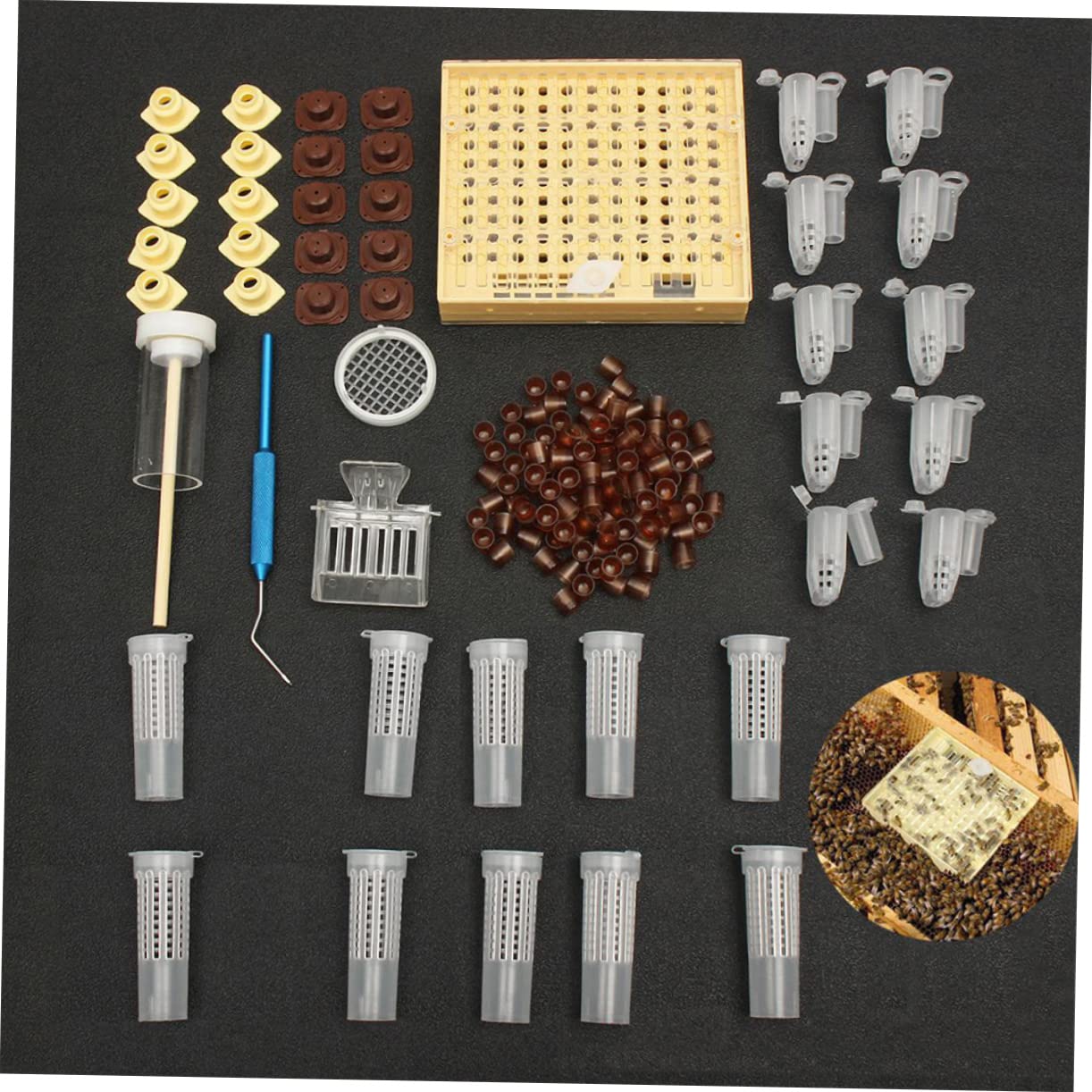 TOYANDONA Kit De Cría De Reinas Herramientas Apícolas Caja De Alimentación Kit De Jaula Accesorios Resistente Roturas Ligero