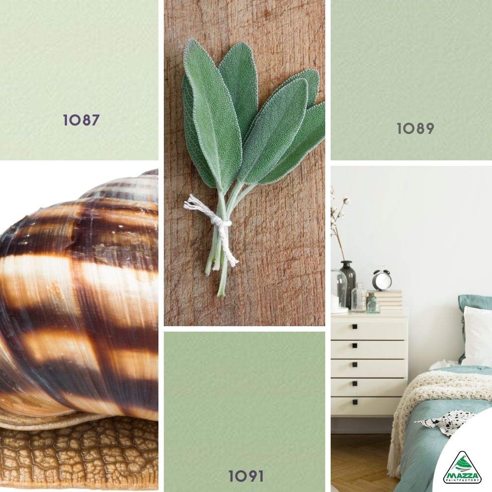 MAZZA Pittura Al Quarzo Per Muri Interni Ed Esterni Lt 5 Ad Alto Potere Coprente Colorificio (Verde Salvia3 Mz1091)