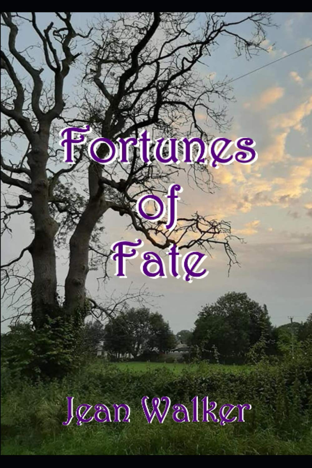 Fortunes of Fate