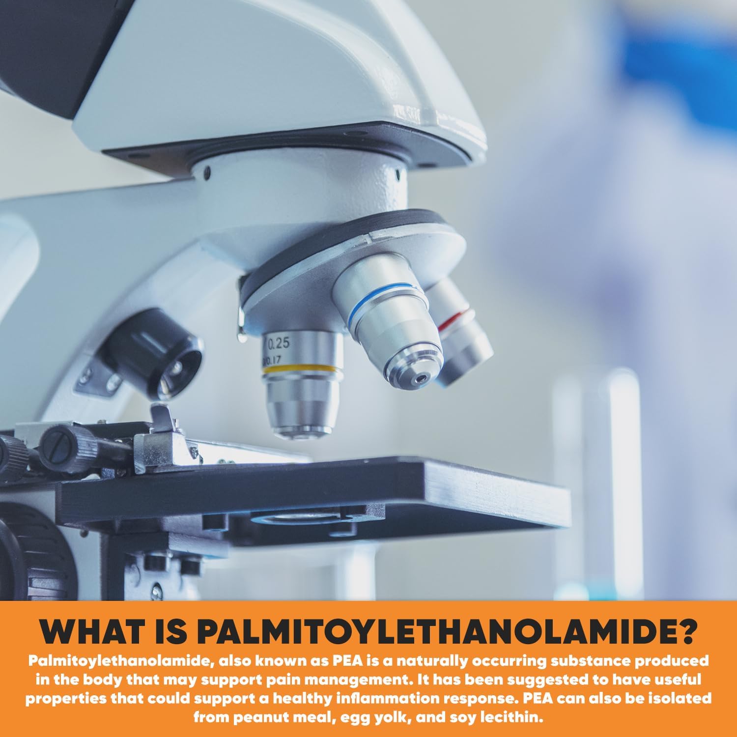 Palmitoylethanolamide Capsules | Pea 400mg | 180 Pill Count | Promotes Natural Inflammation & Discomfort Relief | Lab Tested Ingredients - Image 6