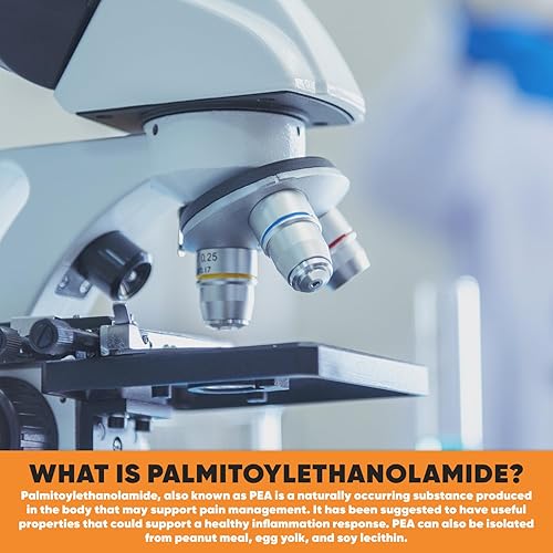 Miniatura 6 de Cápsulas de palmitoiletanolamida Guisante de 400 mg 180 píldoras Promueve la inflamación natural y el alivio de molestias Ingredientes probados