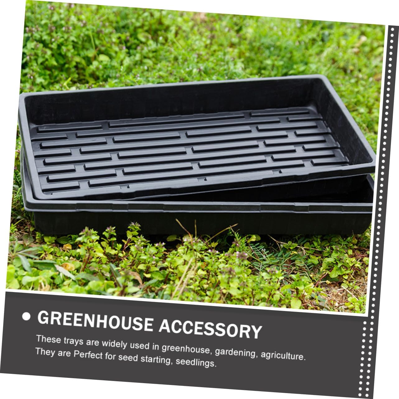 Toyvian 3Pcs Thick Seedling Trays for Plant Germination Durable Gardening Starter Trays for Greenhouse and Vegetable Planting Thick Convenient for Starting