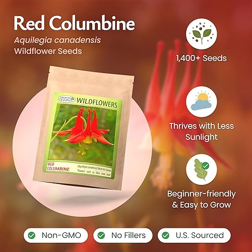 Miniatura 2 de Created By Nature Semillas de flores de columbina roja, 1,450 semillas, flores silvestres perennes