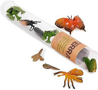 حيوانات ميتامورفوسيس في أنبوب من تيرا، مجموعة من 10 قطع، مقاس 4-8 سم
