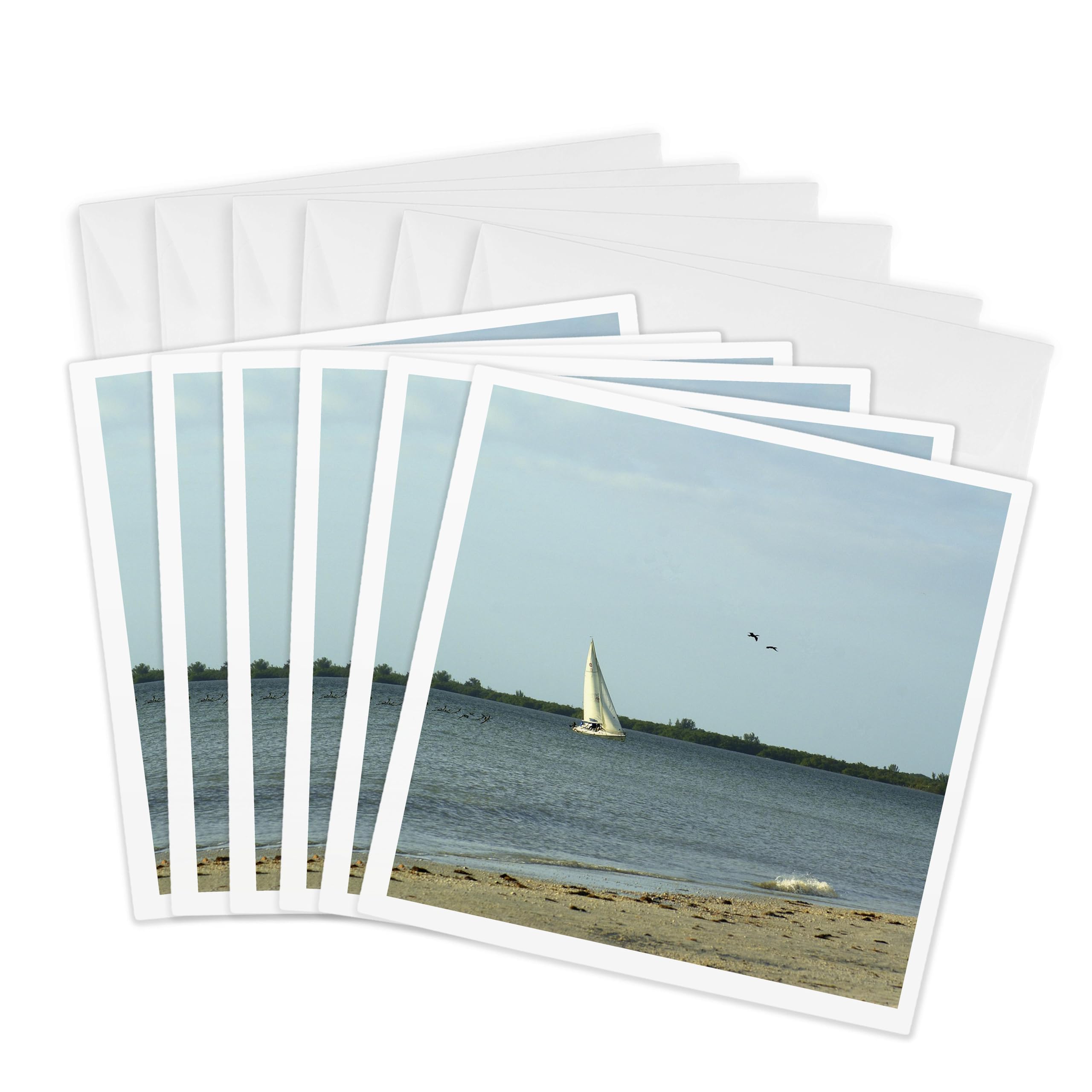 3dRose gc_38133_1 6 x 6-Inch "Sailboat and Birds on Captival" Greeting Card (Pack of 6)