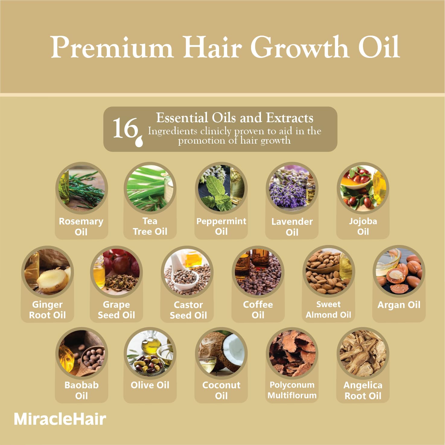 Premium Hair Growth Oil 170ml - Enriched with Rosemary, Biotin, and 10 Natural Oils for Enhanced Hair Growth and Thickness - Image 4
