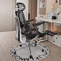 Hbada E3 Pro Sedia Ufficio e Scrivania Ergonomica, con Supporto Lombare Dinamico a 3 Zone